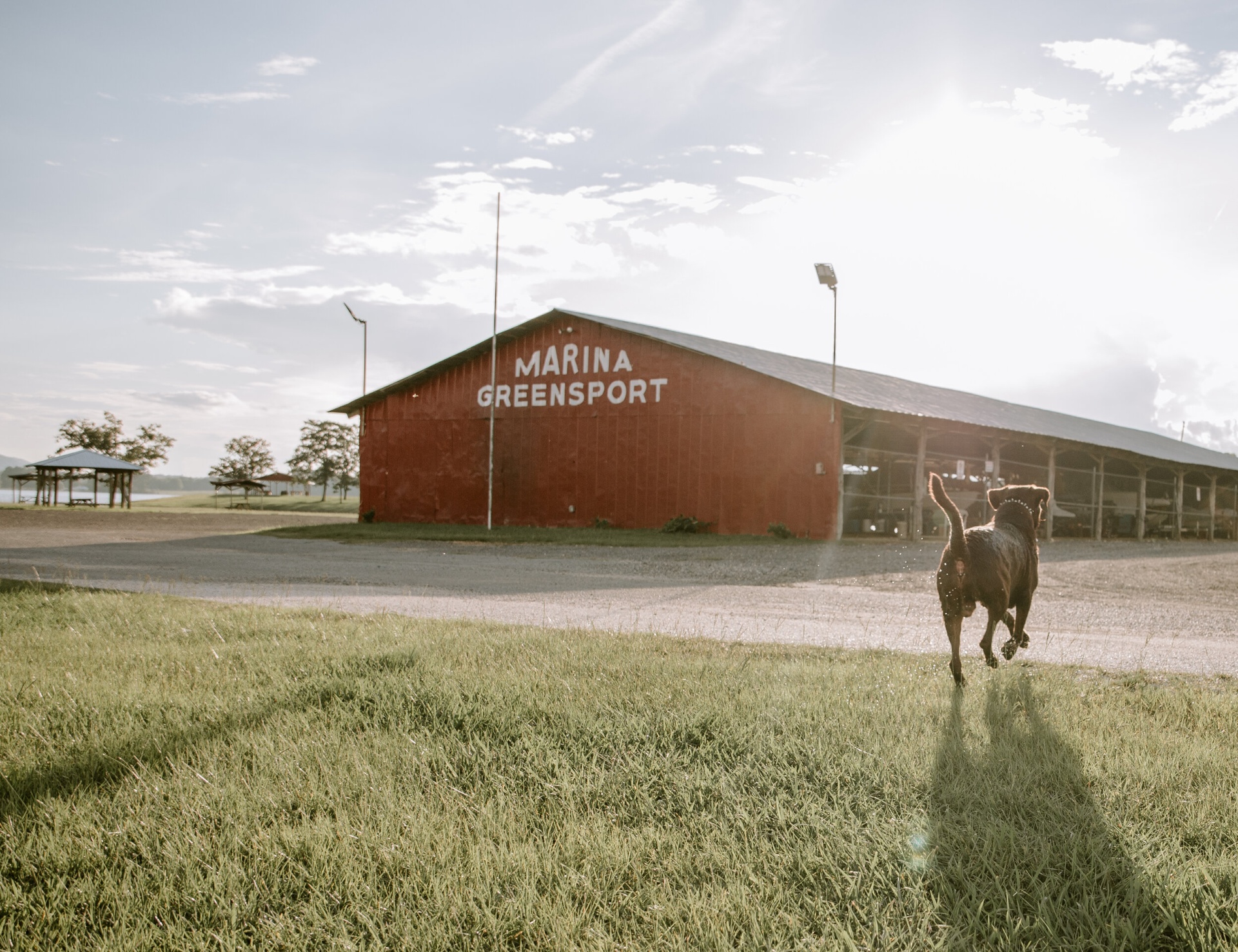 Dog running toward the red Greensport Marina barn at sunrise