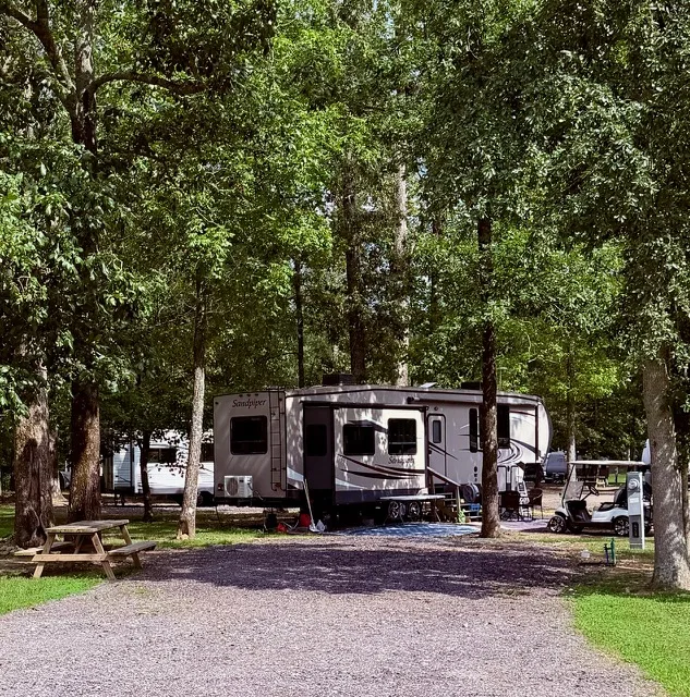 Travel trailer parked on a shaded gravel RV campsite among trees at Greensport