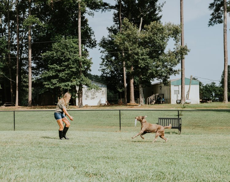 Dog park