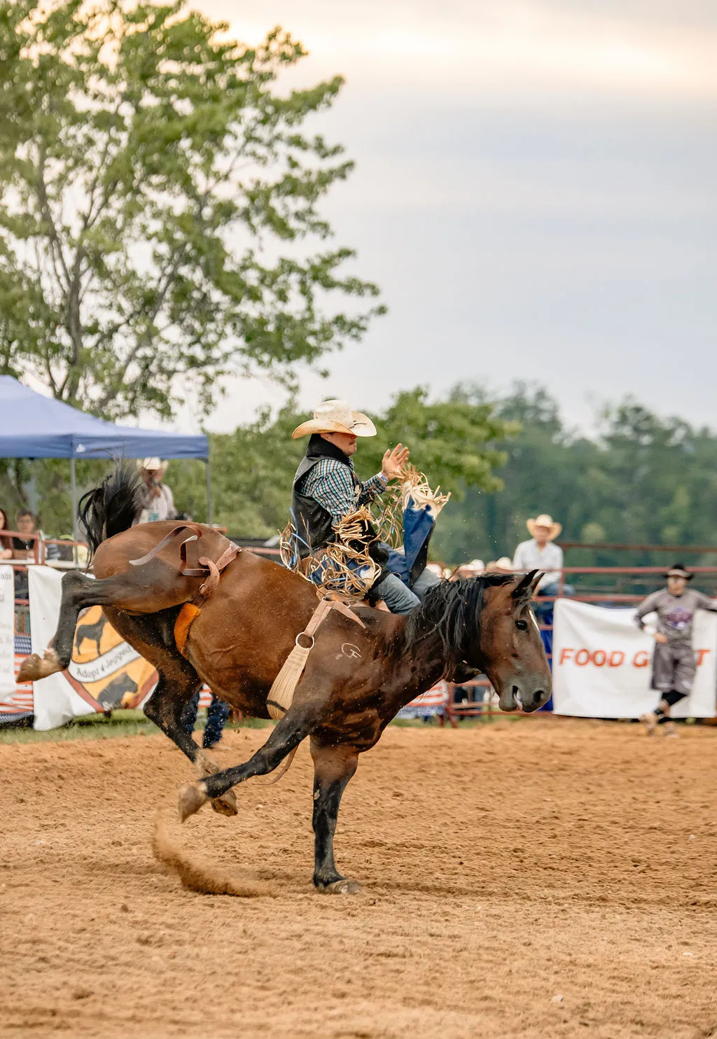 Bronc rider competing at a Greensport rodeo event