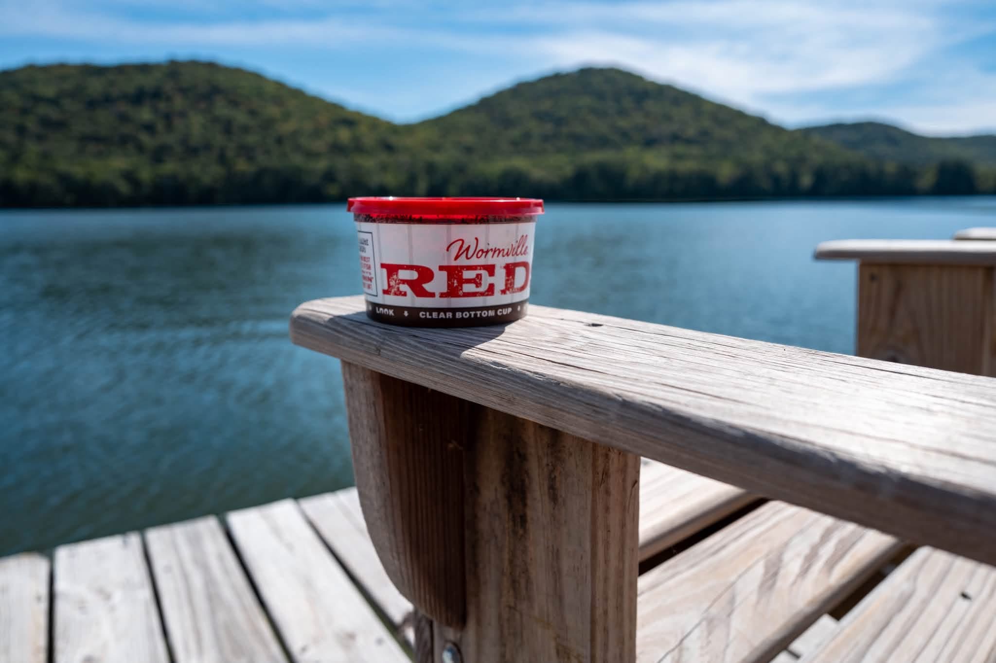 A cup of red worms on a wooden pier chair, with Neely Henry Lake and green hills behind it