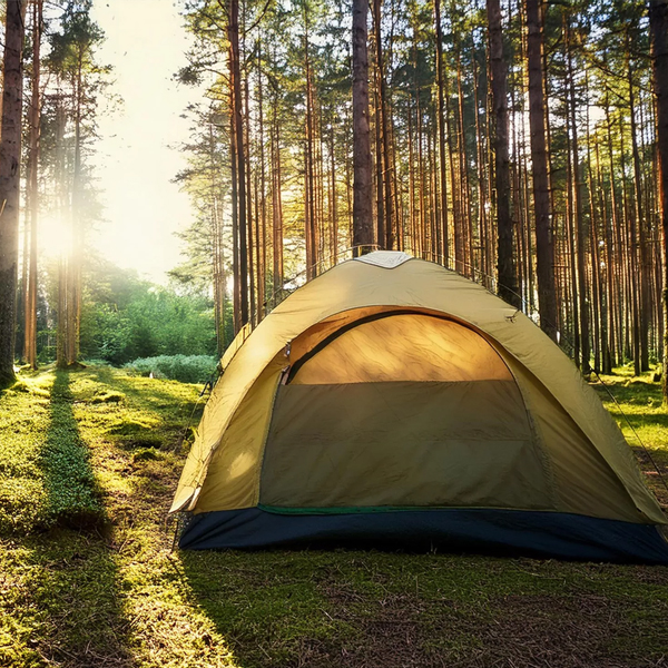 Best Time of Year to Camp in Alabama