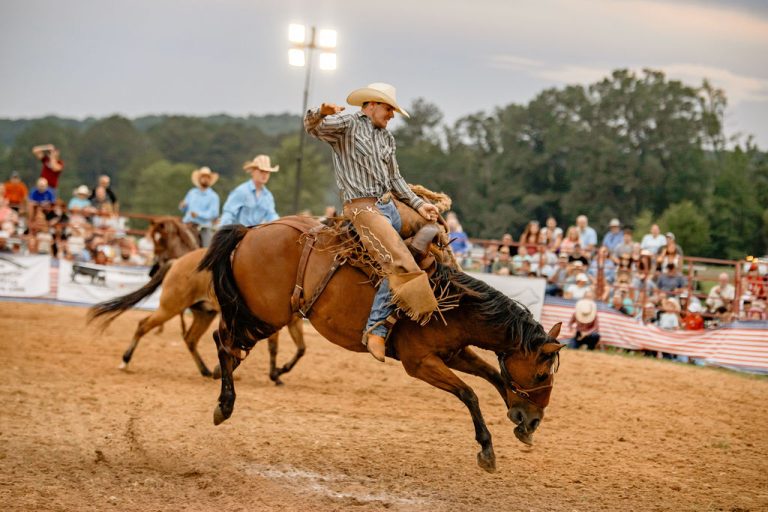 Annual Rodeo and Rhythm