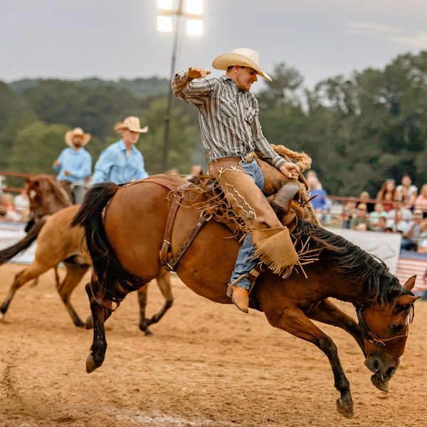 Annual Rodeo and Rhythm
