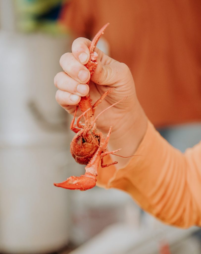 6th Annual Crawfish Boil